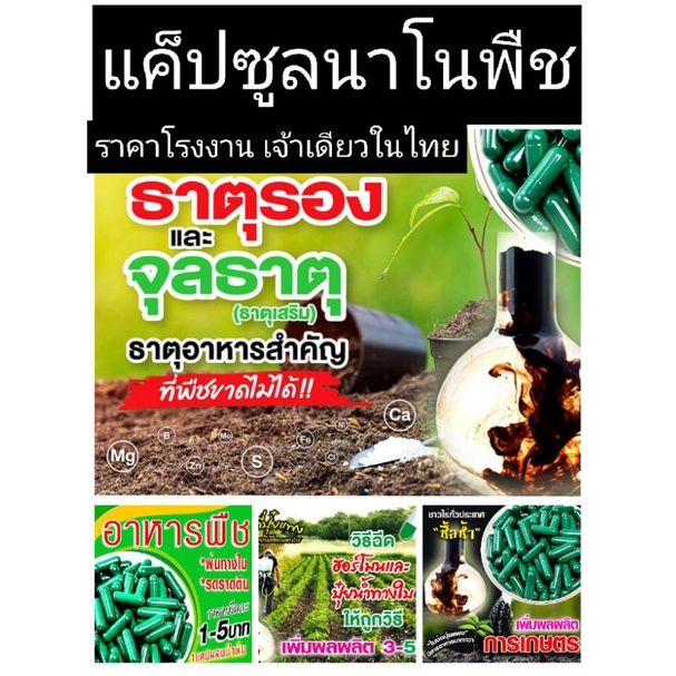 💥🌿🥬แค็ปซูลเขียวนาโนพืช💥🌿🥬ขายส่ง🌿นาโนพืชใบเขียว🥬(1,000แค็ป:1,959.-)🥬🌿💥ฉีดพ่นอาหารทางใบ