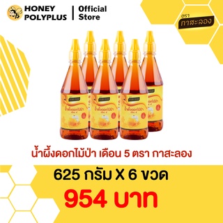 Kasalong Wildflower Honey  625g (Pack of 6) น้ำผึ้งกาสะลอง น้ำผึ้งดอกไม้ป่า  625 กรัม (6 ขวด)