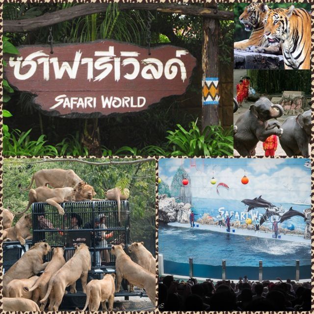 อัลบั้ม 98+ ภาพพื้นหลัง ซาฟารีเวิลด์ 2018 ความละเอียด 2k, 4k