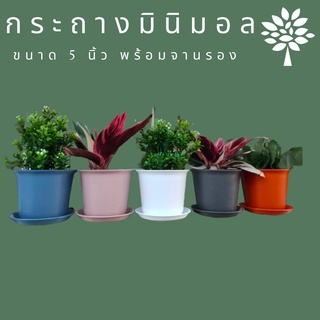 กระถาง ต้นไม้ 5 นิ้ว สี พาสเทล พร้อม จานรอง (ลอน) กระถาง ดอกไม้ ญาญ่า กระถางพลาสติก เกลียว สี ขาว ส้มอิฐ เทา ชมพู ฟ้า