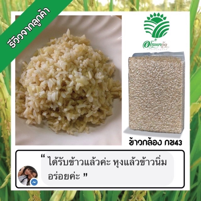 ค่าส่งถูกที่สุด*ข้าวกล้องกข43 =5 กิโลกรัม ข้าวใหม่(กระสอบ) | Shopee Thailand