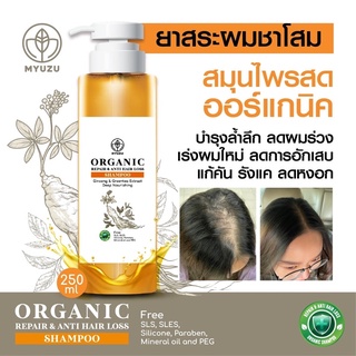 ลดผมร่วง ยาสระผมชาโสม Organic ชาเขียว+รากโสมเกาหลี แก้ผมหงอก แก้อักเสบ แก้คัน รังแค เร่งไรผม เห็นผลตั้งแต่ 1 ขวด