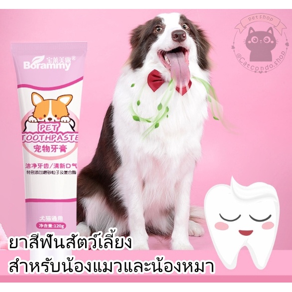 แปรงสีฟันสัตว์เลี้ยง 360องศา หัวแปรง ขนนุ่ม อ่อนโยนต่อเหงือกและฟัน แปรงสีฟันหมาและแมว ราคา ถูกที่สุด ดีลบีเคเค แกลเลอรีภาพที่ 5