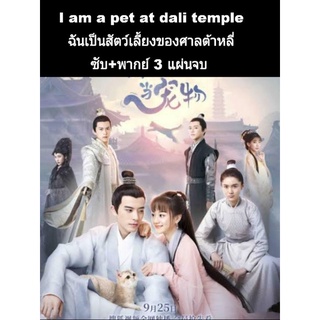 ซีรีส์จีน I am a pet at dali temple พากย์ไทย-ซับไทย 3 แผ่นจบ