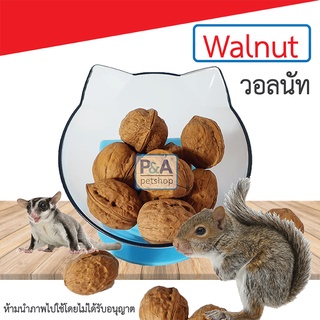 Walnut วอลนัท ลูกวอลนัท [สำหรับนกแก้ว สัตว์เลี้ยงฟันแทะ หนูแฮมสเตอร์ กระรอก] ลูกละ 8฿ / Size S