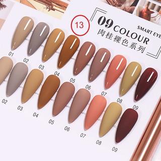 สีเจลยกเซต 9สีโทนนู้ด น้ำตาล AI LA NUO