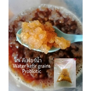 (เกรนตัวใหญ่)Water Kefir คีเฟอร์น้ำ​ Probiotic ดื่มง่ายกว่านม