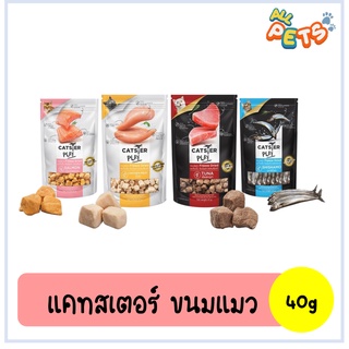 Catster Play แคทสเตอร์ เพลย์ ขนมแมว 40g