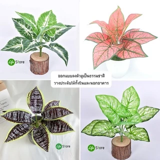พร้อมส่งในไทย ถึงเร็วทันใจ ** ต้นไม้ประดิษฐ์ สวยงามเสมือนจริง สายพันธุ์ยอดนิยม รุ่น G33 (เฉพาะต้นไม้ไม่รวมกระถาง)