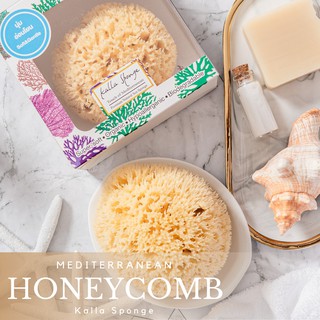 KALLA SPONGE ฟองน้ำธรรมชาติ ชนิด Honeycomb สีเหลือง สำหรับอาบน้ำ (FREE EMS!!)