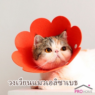 ปลอกคอดอกไม้ ปลอกคอกันเลีย คอลล่าสุนัข คอลล่าแมว Cat coll