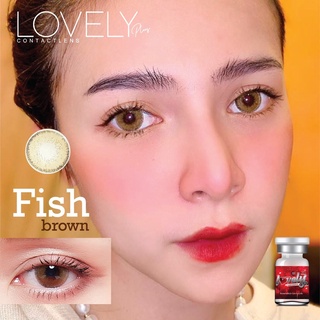 💋 มีค่าสายตา 💋 Lovelylens Fish Gray Brown  บิ๊กอาย สุดปัง คอนแทคเลนส์ รายเดือน มีอย แถมตลับฟรี  เลนส์นิ่ม สวยปังมาก