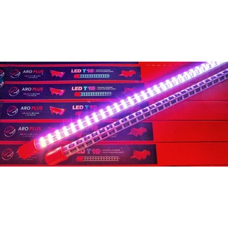 AROPLUS LED T10 ไฟ LED  ไฟปลาสวยงาม ปลามังกร และปลาสวยงามอื่น ๆ  สำหรับตู้36 นิ้ว ตัวไฟให้ค่าแสงสูง ไฟ LED ถึง 4 แถว มี