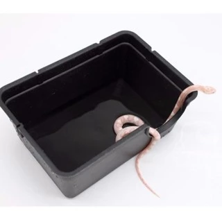 Hide Box ถ้ำซ่อนตัว สีดำ สำหรับสัตว์เลื้อยคลาน ให้อยู่ในสภาพแวดล้อมอย่างปลอดภัย ตุ๊กแก เก็คโค งู ตะขาบ แมงป่อง HIDE BOX🖤