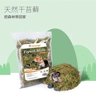Niteangel หญ้า มอส แห้ง moss ป่ามอสสำหรับหนูแฮมสเตอร์ ทำรัง จัดสวนแนวธรรมชาติ