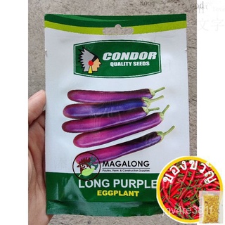 CONDOR SEEDS - EGGPLANT SEEDS - LONG PURPLE 3กรัมสร้อยข้อมือ/เมล็ด/คื่นฉ่าย/ผักกาดหอม/สวน/พาสต้า/แอปเปิ้ล/มะละกอ/กระโปรง