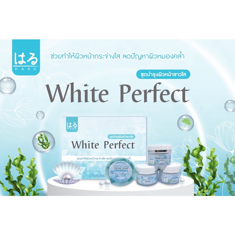 ** กล่องใหม่** Haru ครีมชุดบำรุงหน้าขาวใส (ฮารุครีมชุดสีฟ้า)