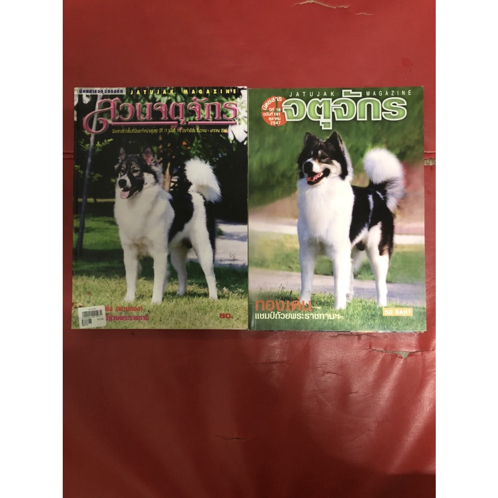 นิตยสารน้อนหมา Pet News มือสอง สภาพ 90 เปอร์เซ็นต์ (ขายเหมา 7 เล่ม)