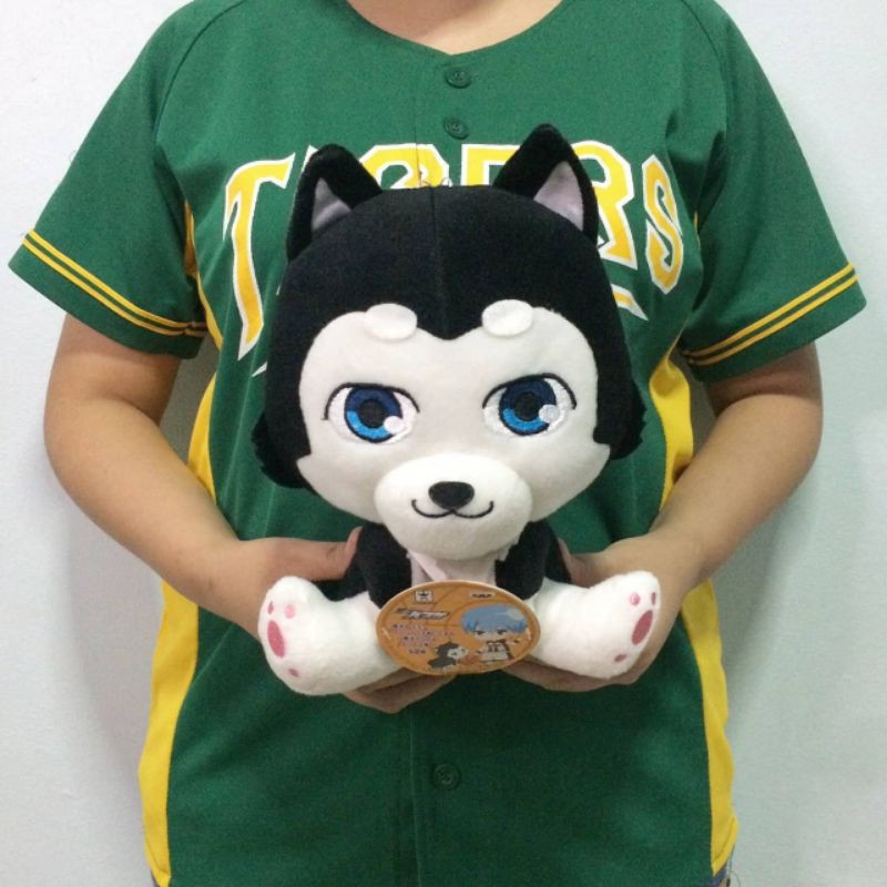 ตุ๊กตาคุโรโกะ โนะ บาสเก็ต เรื่อง kuroko no basket งานแท้ญี่ปุ่น