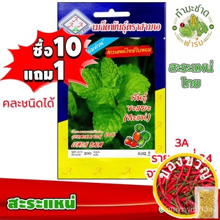 เมล็ดอวบอ้วน100%，ไทยในสต็อกพร้อมส่ง[10แถม1] 3A เมล็ดพันธุ์ สะระแหน่  200 เมล็ด งอกดี หอมด่วน เมล็ดพันธุ์สามเอ LEMON BALM