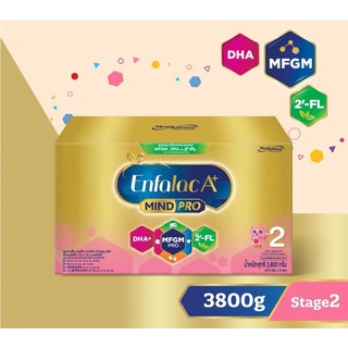 เอนฟาแล็ค เอพลัส สูตร2 ขนาด 3800กรัม Enfalac A+ สูตร2 (475g*8ซอง)