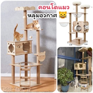 Fidoz​ factory​ คอนโดแมว​ คอนโดไม้น้องแมว​ มีหลุมนอนอวกาศ​ บ้านแมว