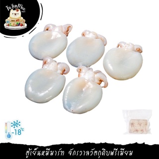 1KG/PACK ปลาหมึกกระดองทั้งตัว WHOLE CLEANED CUTTLEFISH