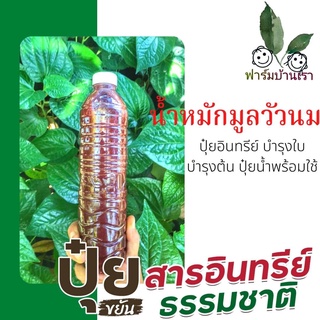 น้ำหมักมูลวัวนม ปุ๋ยน้ำพร้อมใช้ Organicare ปุ๋ยอินทรีย์คุณภาพดี 600 ML