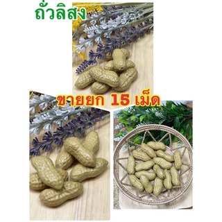 ถั่วลิสงปลอม (ขายยก 15 เม็ด)