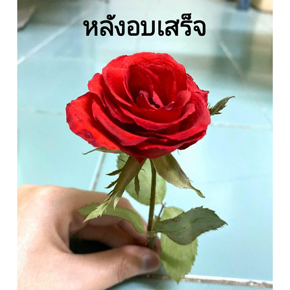 💥แพ็คคู่สุดคุ้ม💥2 ซิลิก้าทราย สำหรับทำดอกไม้แห้ง/มาลัยบ่าวสาว แพ็คคู่ รวม 2 กิโลกรัม.