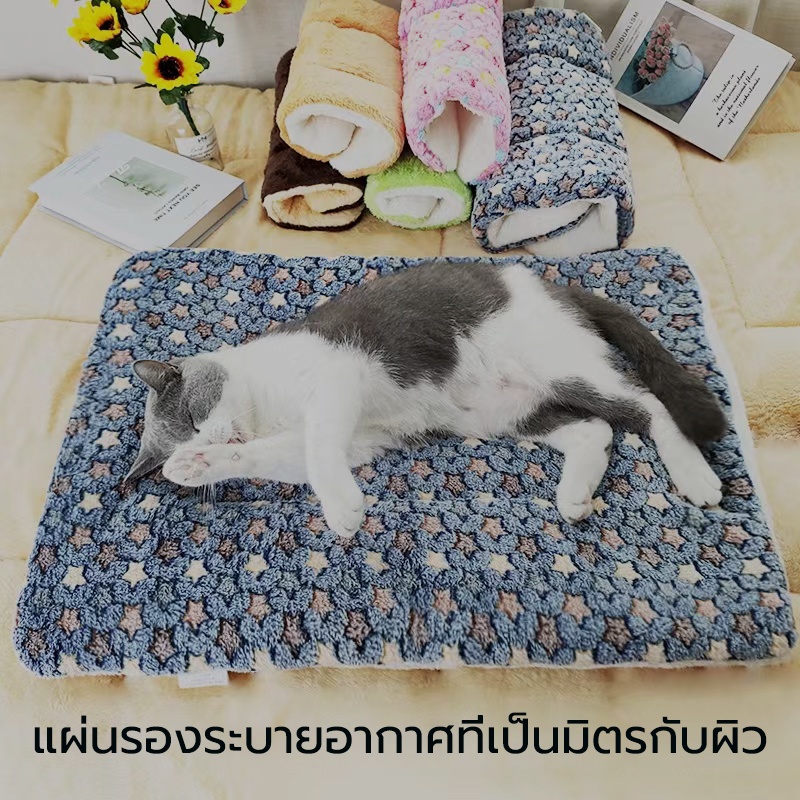 ที่นอนสัตว์เลี้ยง ขนนุ่ม เบาะนอนสัตว์เลี้ยง ที่นอนสุนัข ที่นอนแมว Soft Coral Fleece เสื่อนอนแมวและสุนัข