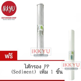 ไส้กรอง  pp จีบ คาร์บอน  Hydromax 20 นิ้ว