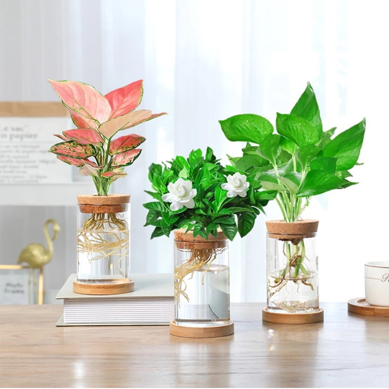 แก้ว borosilicate สูงหม้อดอกไม้ไฮโดรโปนิกส์ขวดแก้วพืชไฮโดรโปนิกส์