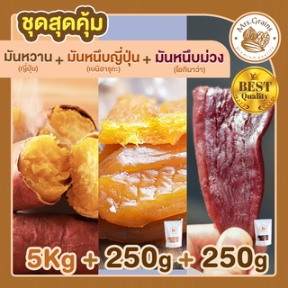 มันหวานญี่ปุ่น 5 Kg + มันหนึบญี่ปุ่น 250 g + มันหนึบม่วง 250 g มันหวานหนึบ เบนิฮารุกะ มันหนึบ ขนมมันหวาน