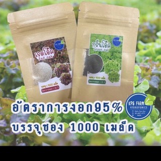 เมล็ดพันธุ์ผักสลัด กรีนโอ๊ค เรดโอ๊ค อัตราการงอก 95% บรรจุ1000เมล็ด