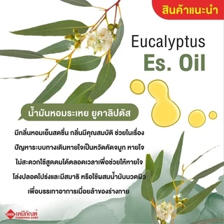 AB0501 น้ำมันหอมระเหย ยูคาลิปตัส (Eucalyptus Essential Oil)
