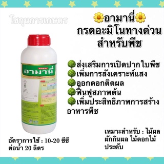 อามานี่ โซตัส ขนาด1ลิตร กรดอะมิโนทางด่วนสำหรับพืช กระตุ้นการเปิดปากใบ เร่งการสังเคราะห์แสง สร้างอาหาร