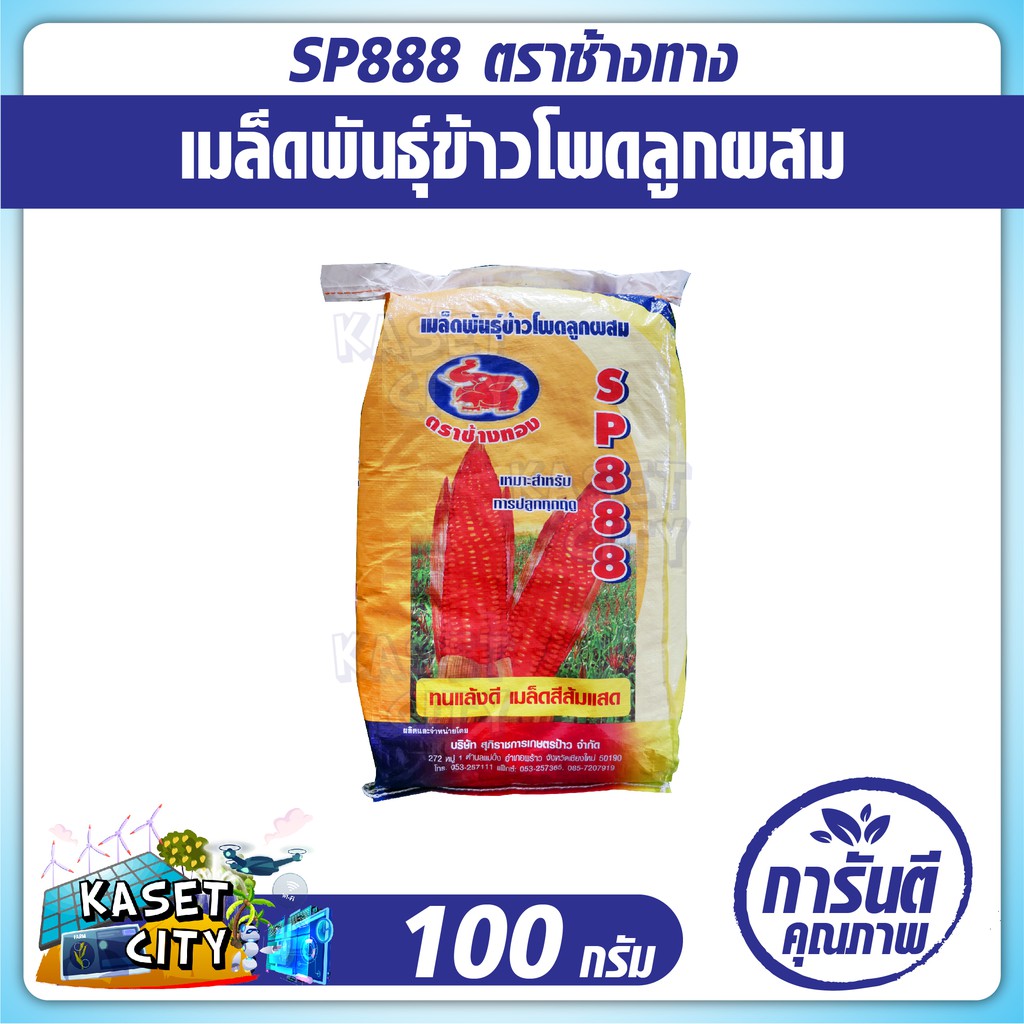 ข้าวโพดเลี้ยงสัตว์  SP888 ตราช้างทอง   ขนาด 3.5 หุน 10 กิโลกรัม ข้าวโพด ผัก เมล็ดพันธุ์พืช