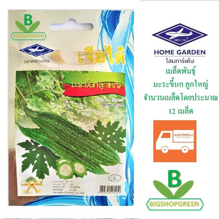 5 ฟรี 1 คละได้ เมล็ดพันธุ์ มะระขี้นกลูกใหญ่ ตรา เจียไต๋ เมล็ดผัก เมล็ดพันธุ์ผัก เมล็ดพืช เมล็ดพันธุ์พืช