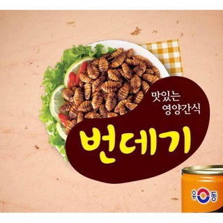 Silkworm Pupa Can 번대기 ดักแด้ กระป๋อง พอนเดกี