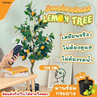 ต้นเลม่อน 🍋 สูง 1.2 เมตร ต้นเลม่อนปลอม ต้นไม้ปลอม สำหรับตกแต่งบ้าน