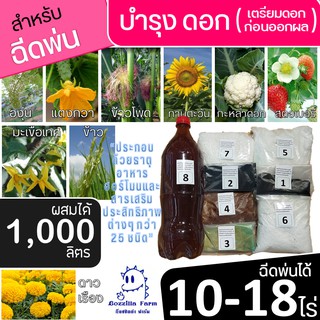 ปุ๋ย OKD ฉีดพ่น บำรุงดอก สารเสริม ปุ๋ย ฮอร์โมน ทางใบ ชุด 10 - 18 ไร่ ได้ทั้ง ข้าว ข้าวโพด ผักสวนครัว ทุเรียน ลำไย ฯลฯ