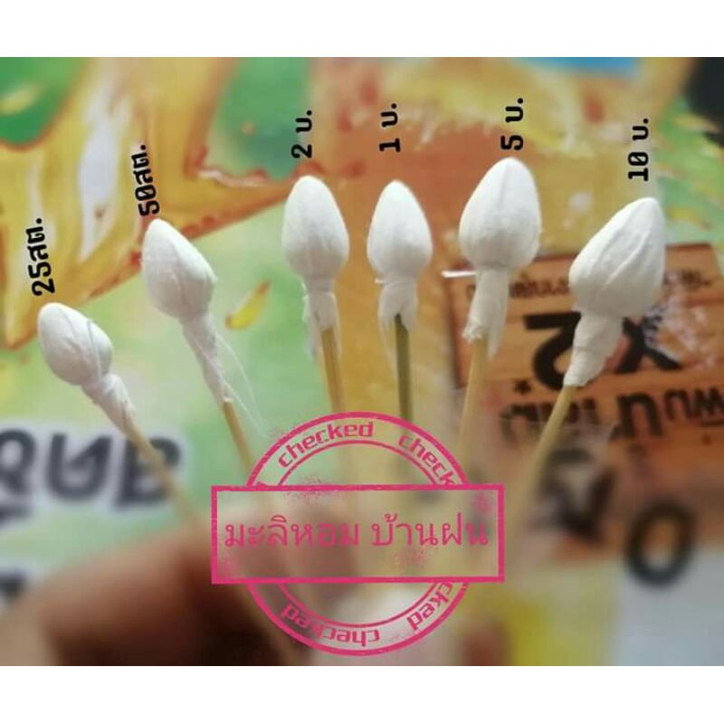ดอกทะลิทิชชู่. (เฉพาะตัวดอก)