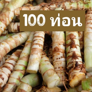 ท่อนพันธุ์หญ้าหวานอิสราเอล บรรจุ 100 ท่อน