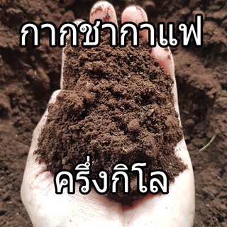 กากกาแฟและกากชาสำหรับใส่ต้นไม้ #กากชากาแฟตากแห้งผงละเอียด