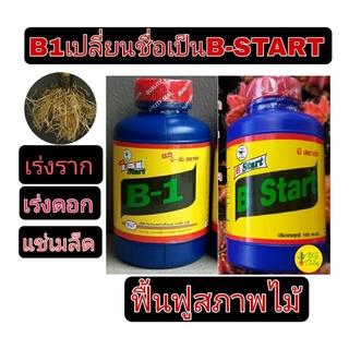 ยาเร่งราก  B1 เดิม เร่งดอก ฟื้นฟู บำรุงไม้ เปลี่ยนฉลากเป็น B-START (B1-เดิม) ขนาด 100cc