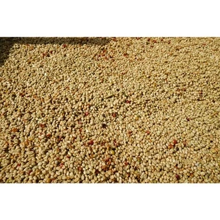 PK Full City+ Roast ขนาด 1,000g. เมล็ดกาแฟคั่วกลางค่อนเข้ม + ส่งไว คั่วใหม่