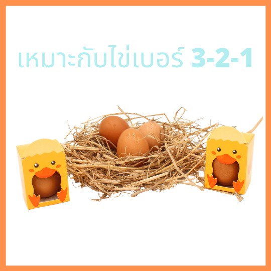 กล่องแม่เป็ด กล่องลายเป็ด กล่องของชำร่วย ใส่ไข่ไก่ แก้วเป๊ก ลายเป็ด เทศกาล อีสเตอร์ ปัสกา  กล่องแก้ว