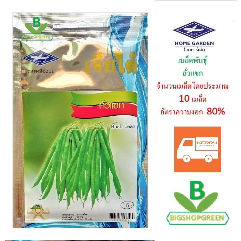 5 ฟรี 1 คละได้ เมล็ดพันธุ์ ถั่วแขก ตราเจียไต๋ เมล็ดพันธุ์ผัก เมล็ดผัก เมล็ดพันธุ์พืช เมล็ดพืช ผักสวนครัว