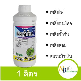 (1 L) มอร์เก็น - ฟิโฟรนิล กำจัดแมลง มด ปลวก เพลี้ยไฟ เพลี้ยกระโดด เพลี้ยจักจั่น ด้วงหมัดผัก หนอนชอนใบ โซตัส 0129